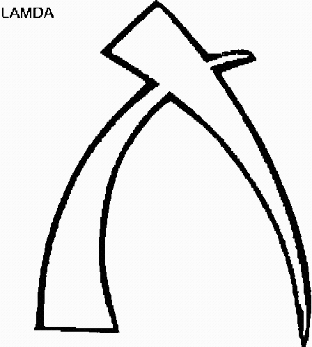 LAMDA