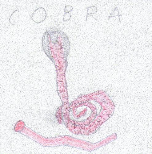 COBRA