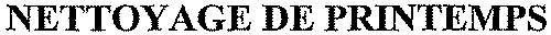 NETTOYAGE DE PRINTEMPS