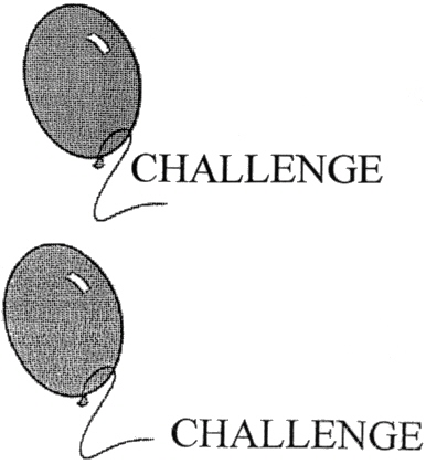 CHALLENGE