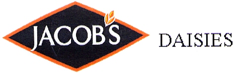 JACOBS DAISIES