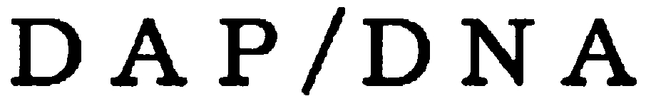 DAP/DNA