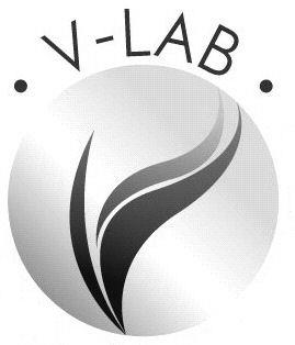 V-LAB
