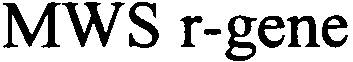 MWS r-gene