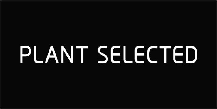 PLANT SELECTED