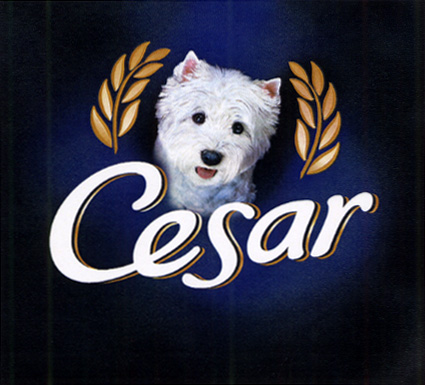 Cesar