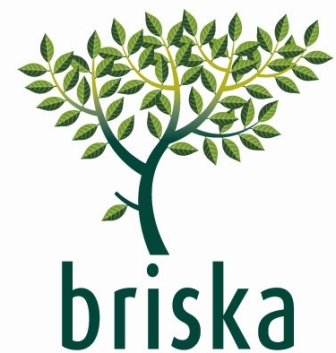 briska