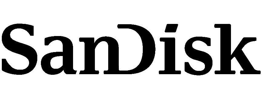 SANDISK