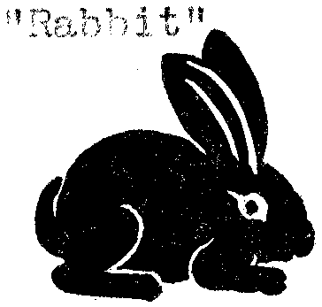 Rabbit