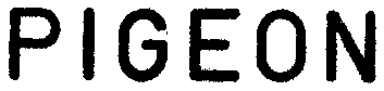 PIGEON