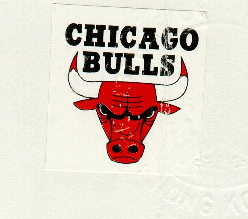 CHICAGO BULLS