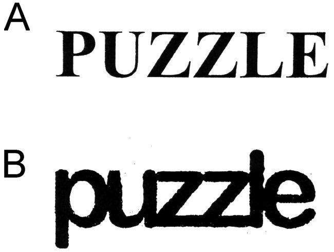 PUZZLE puzzle