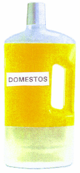 DOMESTOS