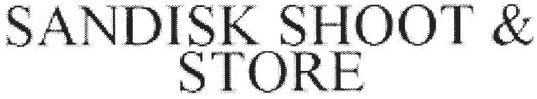 SANDISK SHOOT & STORE