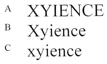 XYIENCE Xyience xyience