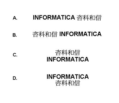 INFORMATICA 咨科和信