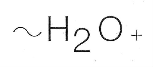 H2O+