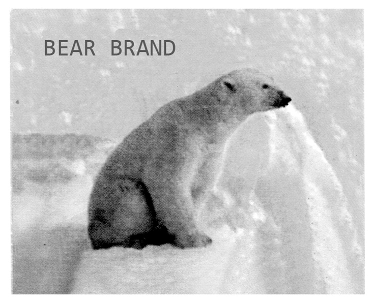 BEAR BRAND