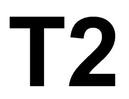 T2