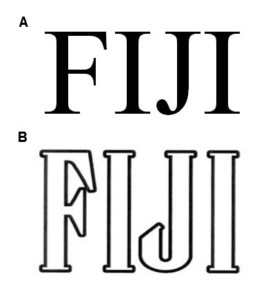 FIJI