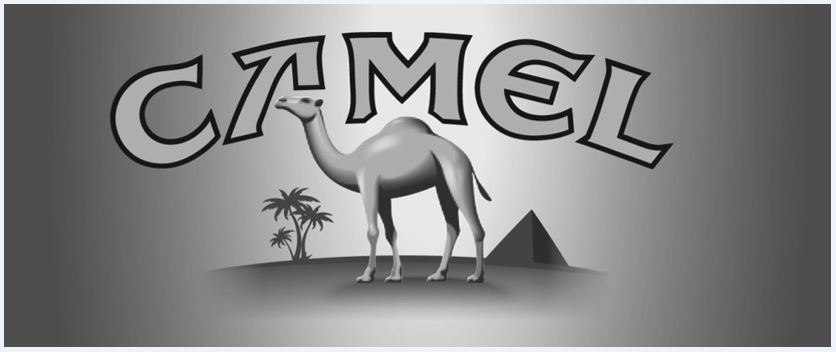 CAMEL
