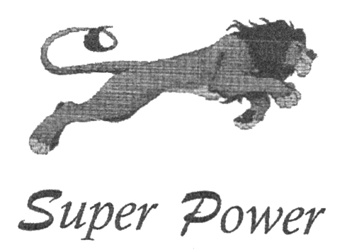 Super Power
