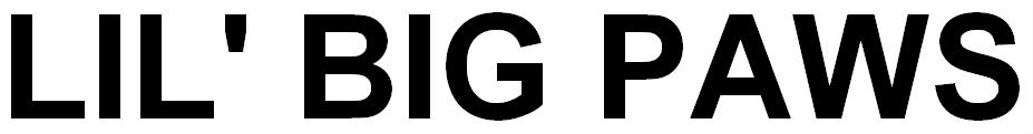 LIL' BIG PAWS