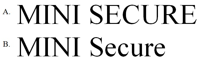 MINI SECURE Secure
