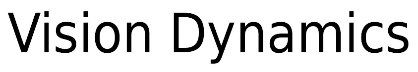 Vision Dynamics