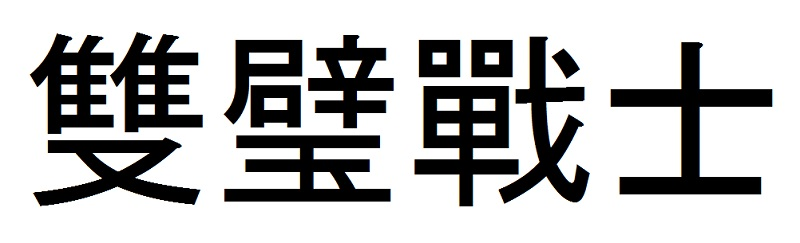 雙璧戰士
