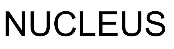 NUCLEUS