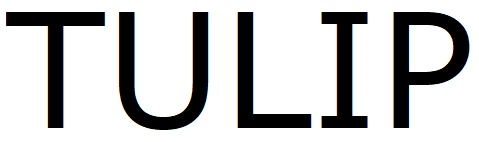 TULIP
