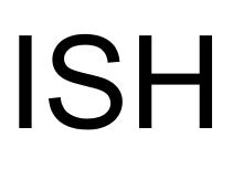 ISH