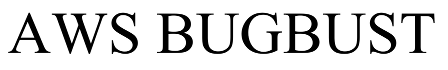 AWS BUGBUST