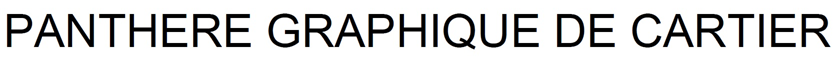 PANTHERE GRAPHIQUE DE CARTIER