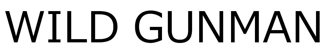 WILD GUNMAN