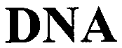 DNA