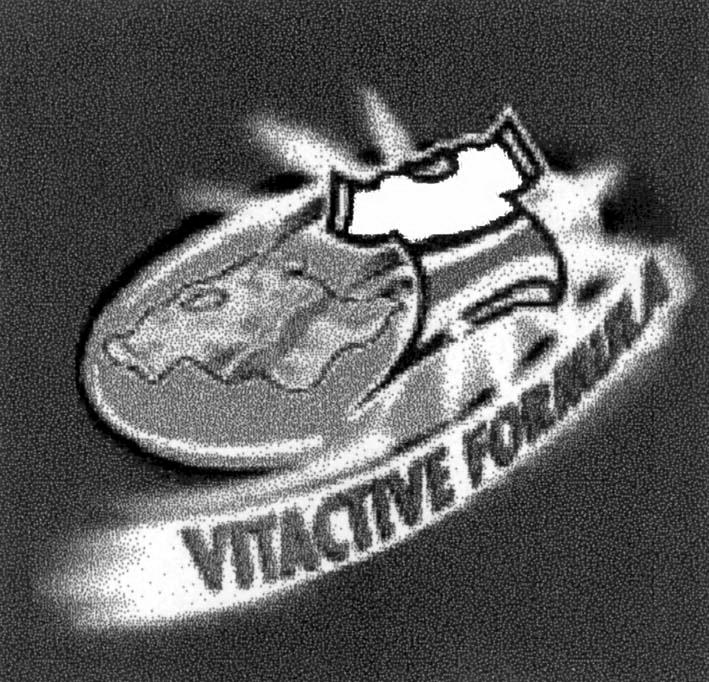 VITACTIVE FORMULA