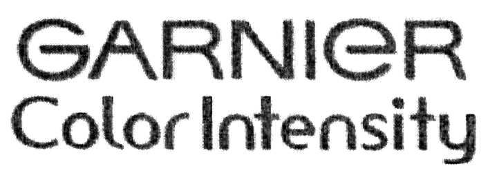 GARNIER COLOR INTENSITY