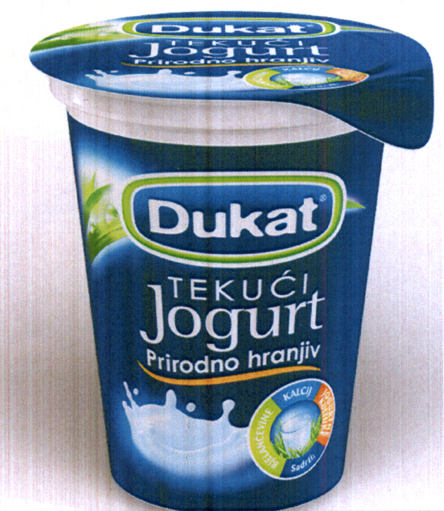 DUKAT TEKUĆI JOGURT