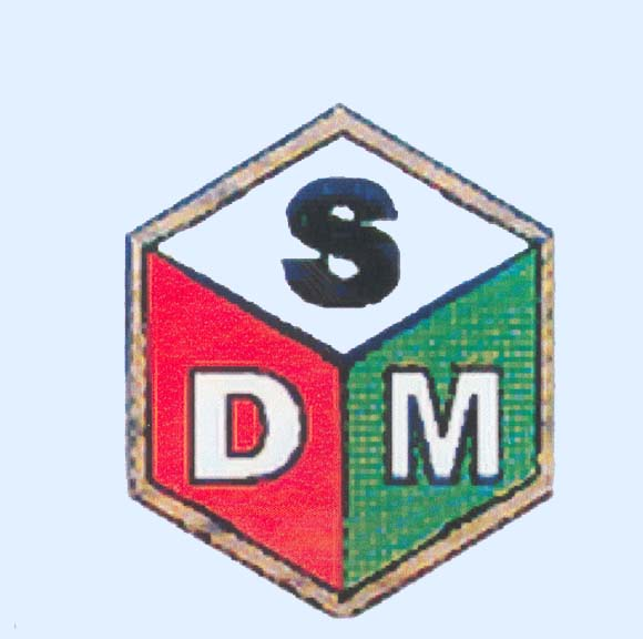 DSM