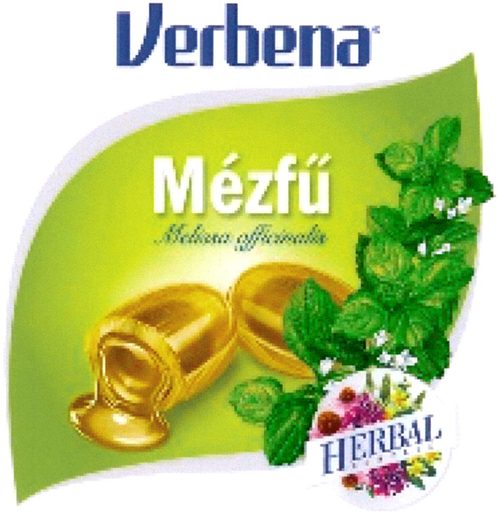 Verbena Mézfű