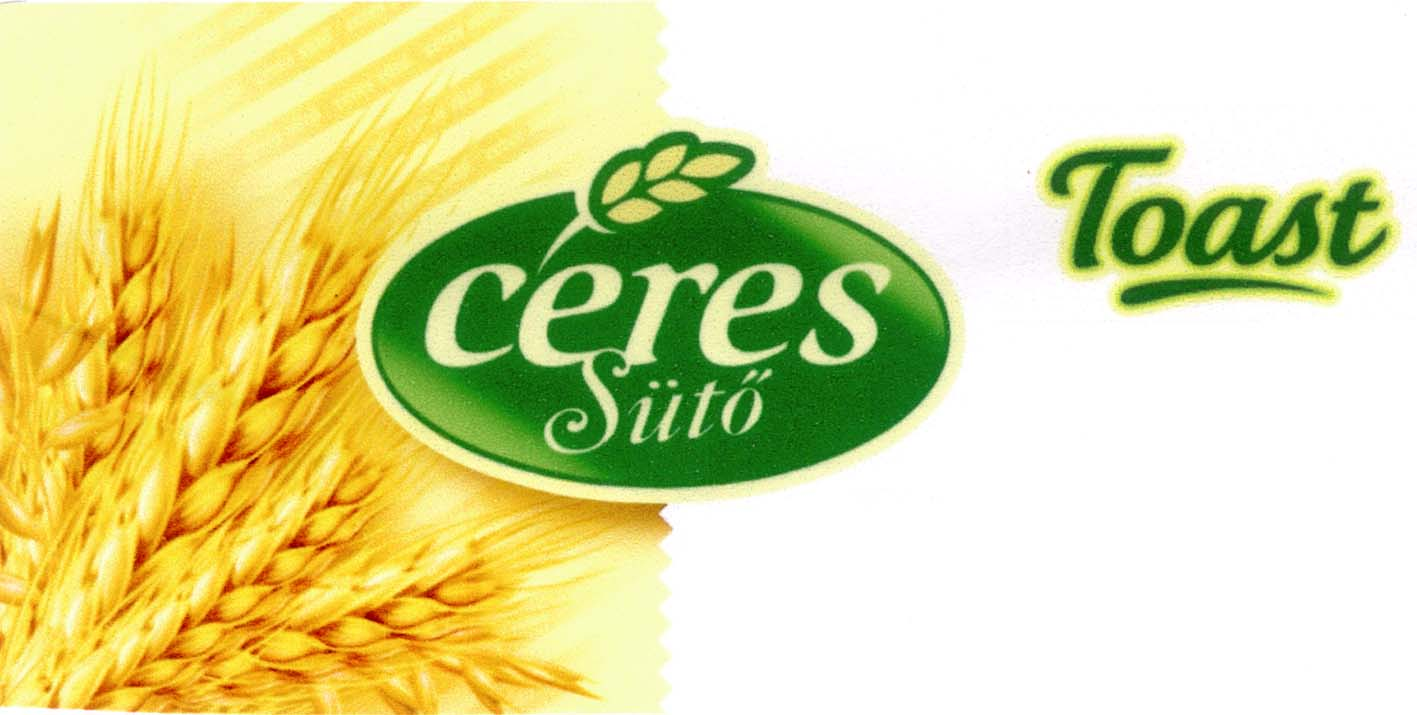 Toast ceres sütő