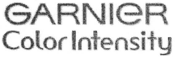 GARNIER Color Intensity