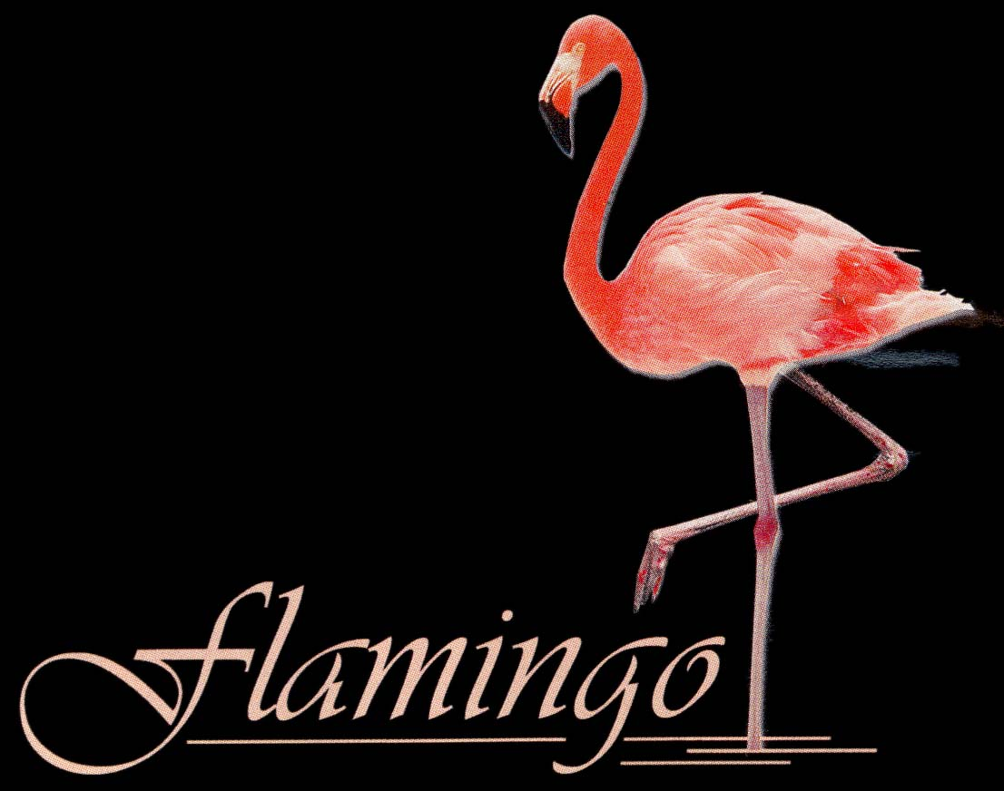 flamingo