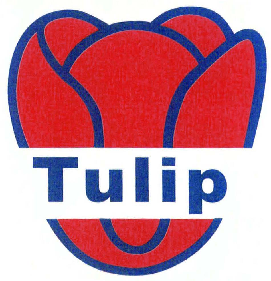 Tulip