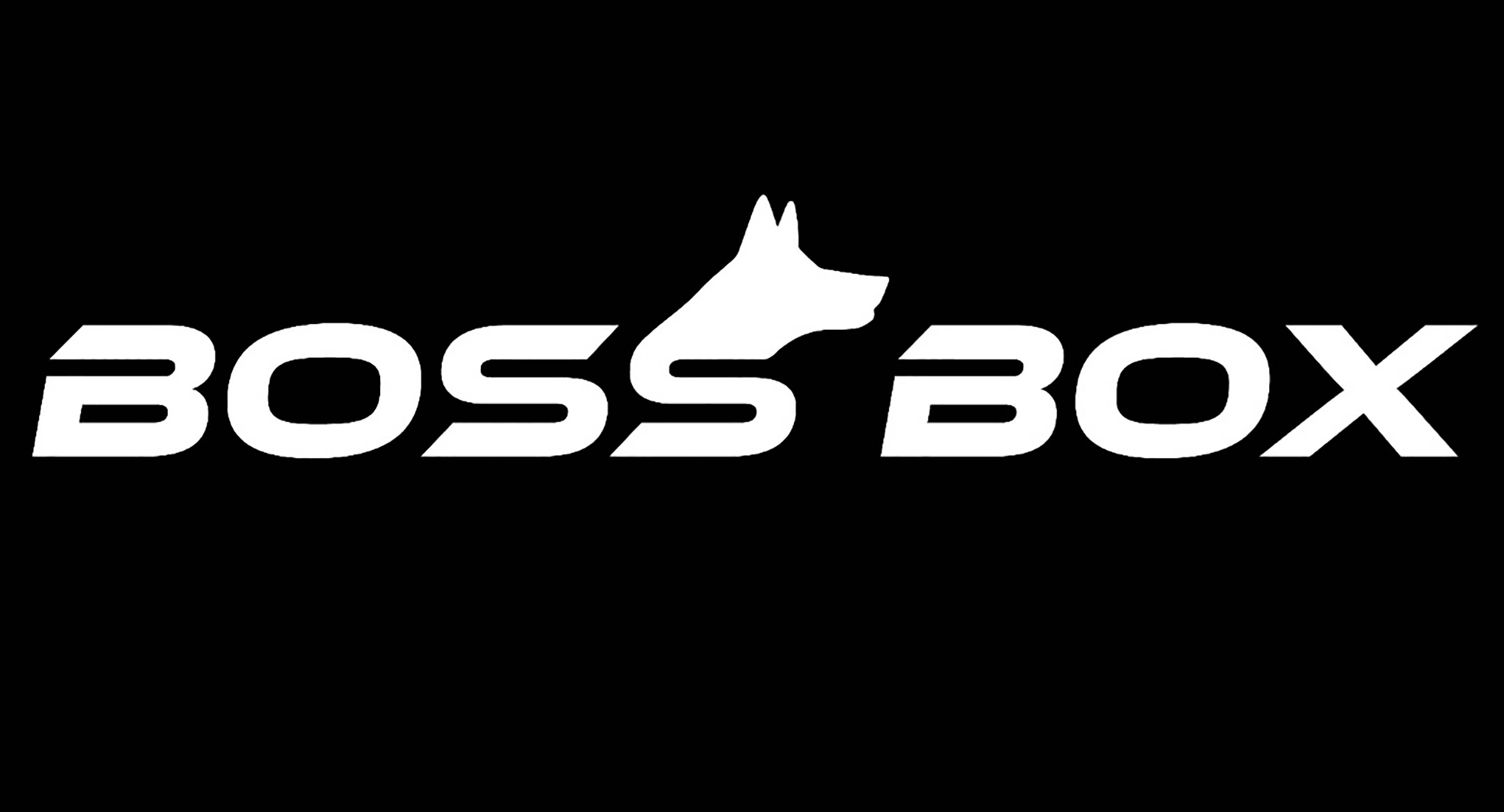 BOSS BOX