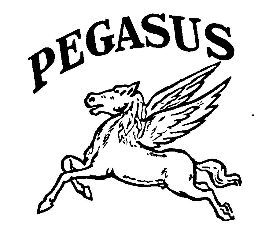 PEGASUS
