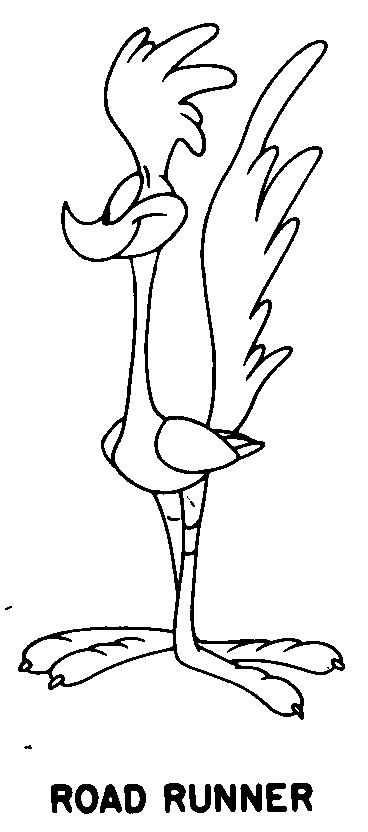 ROAD RUNNER