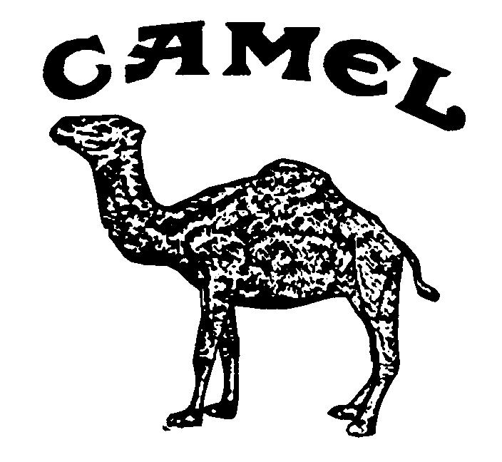 CAMEL